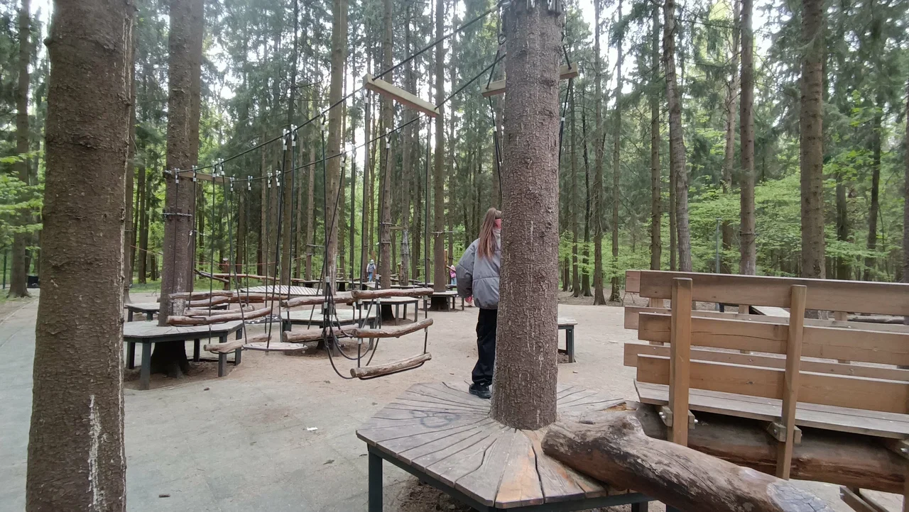 Фото Бесплатный веревочный парк Палки-елки в парке Рассказовка - развлечение в Москве | Досугатор